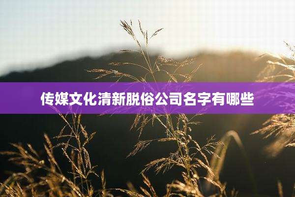 传媒文化清新脱俗公司名字有哪些