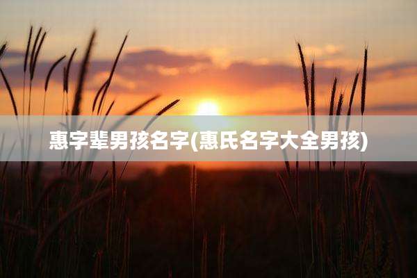 惠字辈男孩名字(惠氏名字大全男孩)