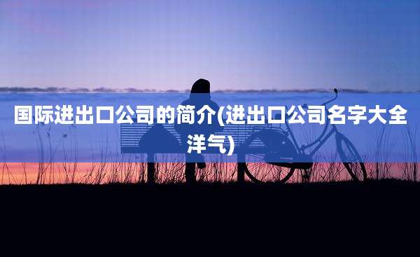 国际进出口公司的简介(进出口公司名字大全洋气)
