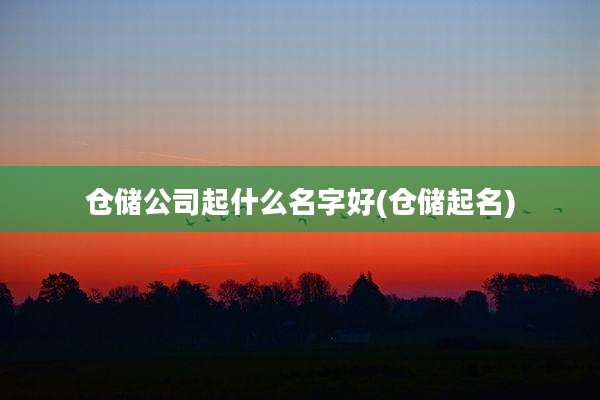 仓储公司起什么名字好(仓储起名)