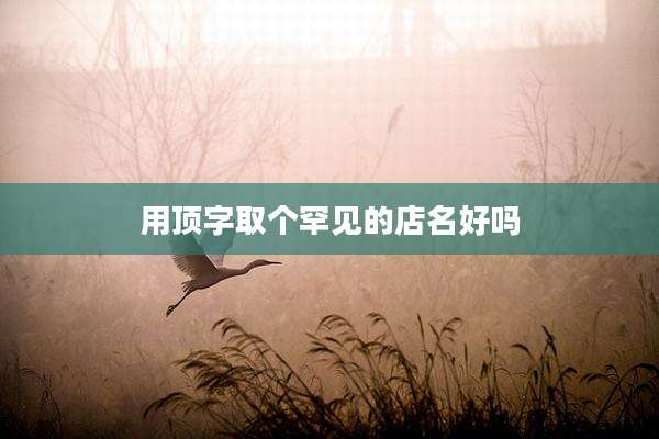 用顶字取个罕见的店名好吗