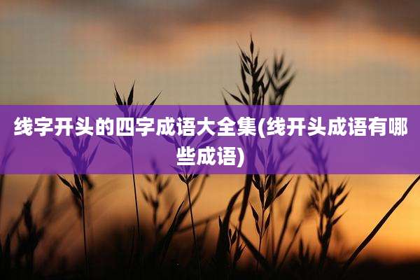 线字开头的四字成语大全集(线开头成语有哪些成语)