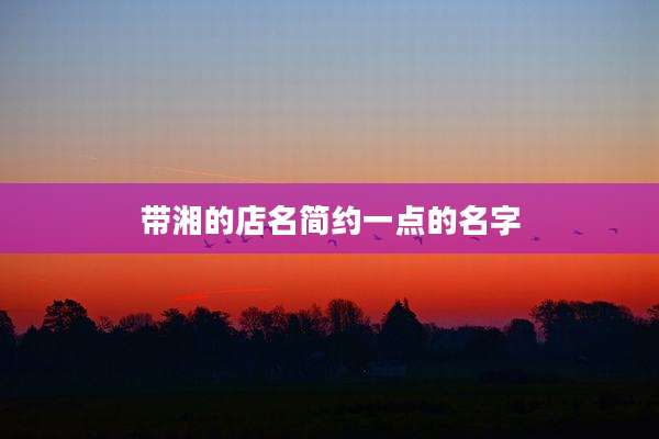 带湘的店名简约一点的名字