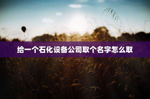 给一个石化设备公司取个名字怎么取