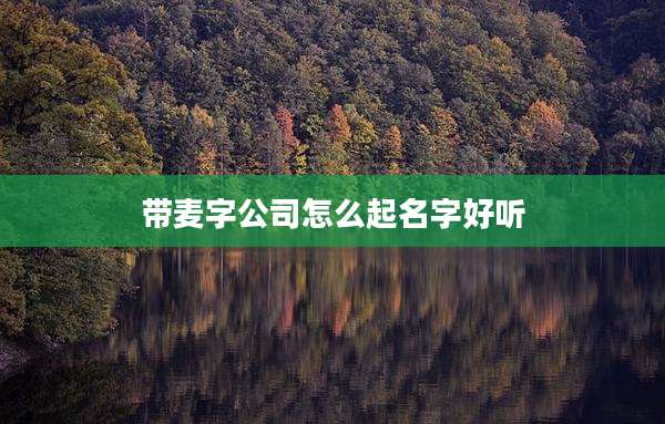 带麦字公司怎么起名字好听