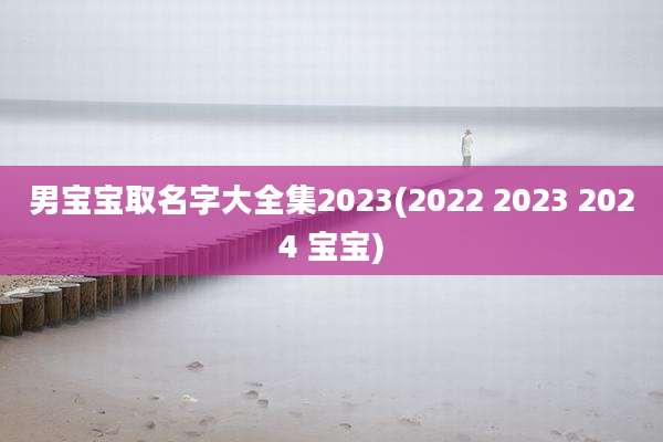男宝宝取名字大全集2023(2022 2023 2024 宝宝)