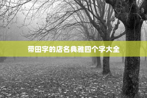 带田字的店名典雅四个字大全
