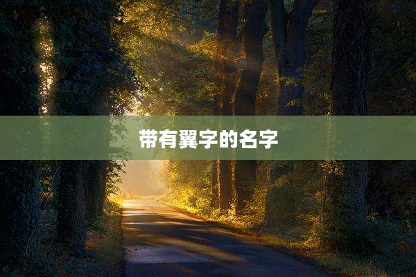带有翼字的名字