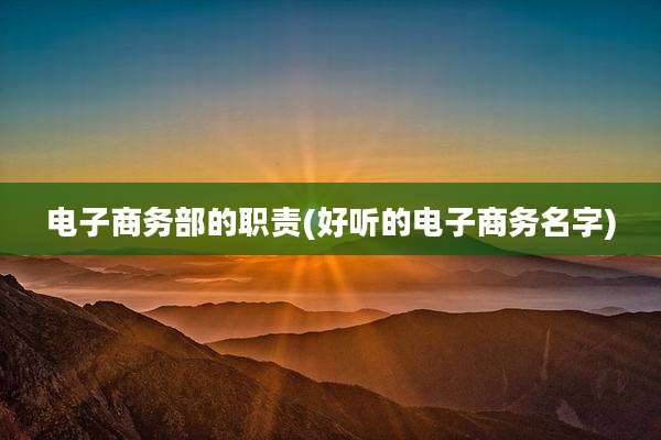 电子商务部的职责(好听的电子商务名字)