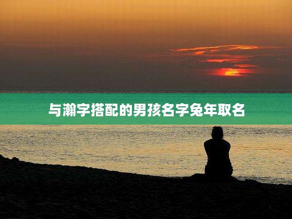 与瀚字搭配的男孩名字兔年取名