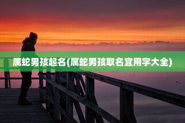 属蛇男孩起名(属蛇男孩取名宜用字大全)