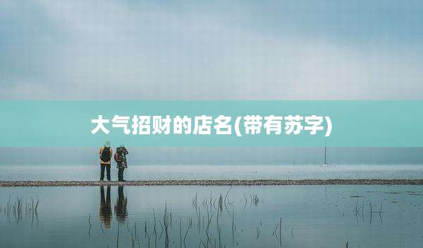 大气招财的店名(带有苏字)