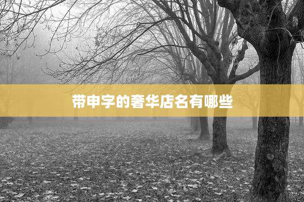 带申字的奢华店名有哪些