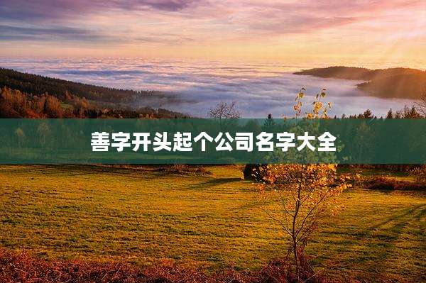 善字开头起个公司名字大全