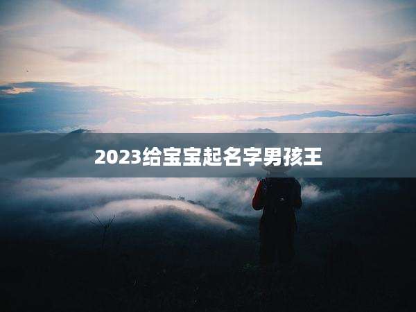 2023给宝宝起名字男孩王