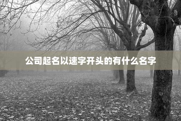 公司起名以速字开头的有什么名字