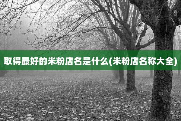 取得最好的米粉店名是什么(米粉店名称大全)