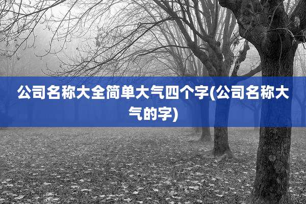 公司名称大全简单大气四个字(公司名称大气的字)