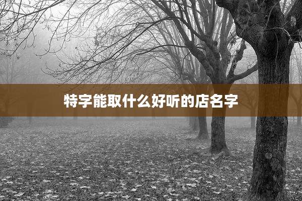 特字能取什么好听的店名字