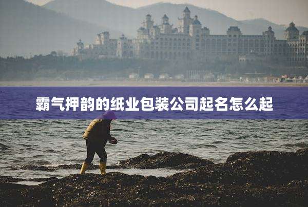 霸气押韵的纸业包装公司起名怎么起