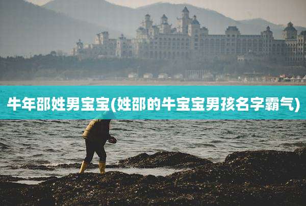 牛年邵姓男宝宝(姓邵的牛宝宝男孩名字霸气)