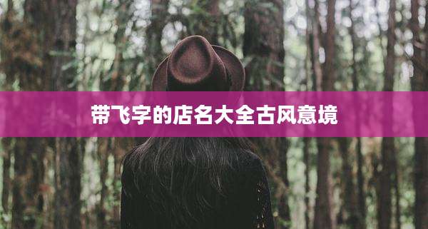 带飞字的店名大全古风意境