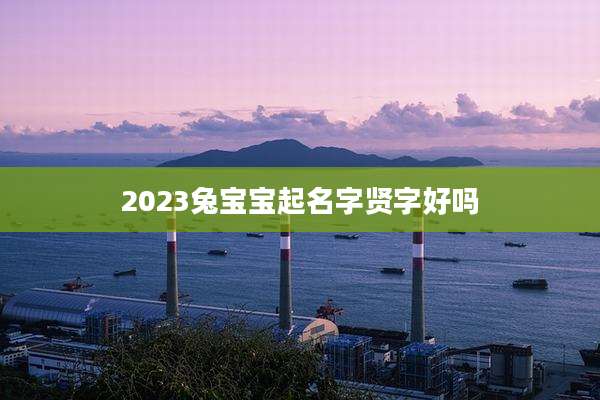 2023兔宝宝起名字贤字好吗