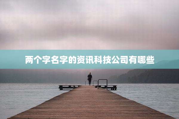 两个字名字的资讯科技公司有哪些