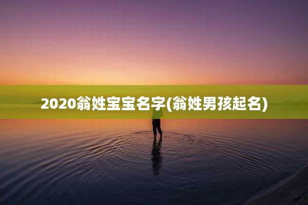 2020翁姓宝宝名字(翁姓男孩起名)