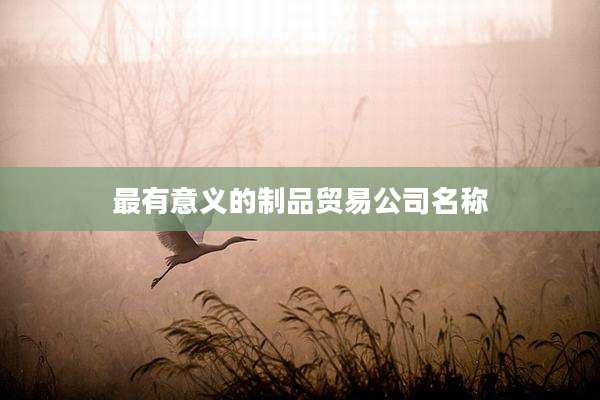 最有意义的制品贸易公司名称