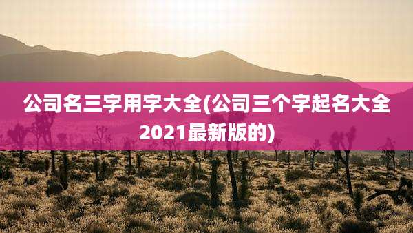 公司名三字用字大全(公司三个字起名大全2021最新版的)