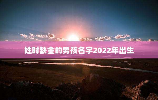 姓时缺金的男孩名字2022年出生