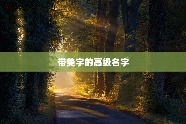 带美字的高级名字