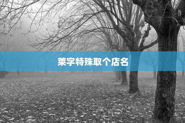 莱字特殊取个店名
