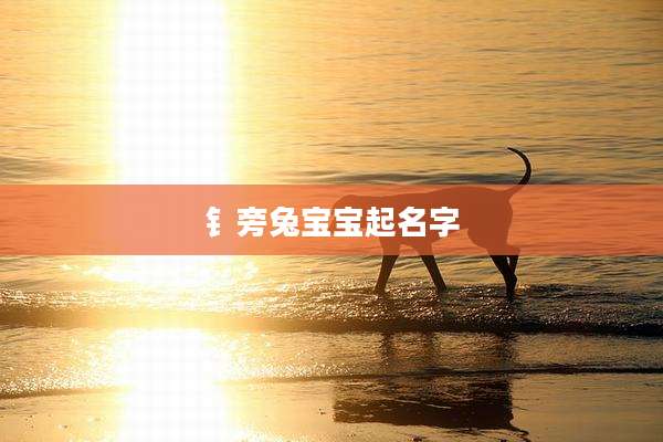 钅旁兔宝宝起名字