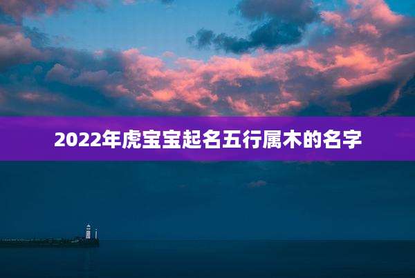 2022年虎宝宝起名五行属木的名字