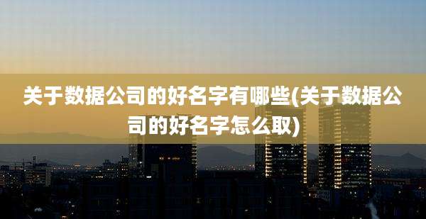 关于数据公司的好名字有哪些(关于数据公司的好名字怎么取)