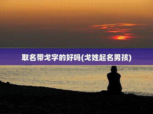 取名带戈字的好吗(戈姓起名男孩)