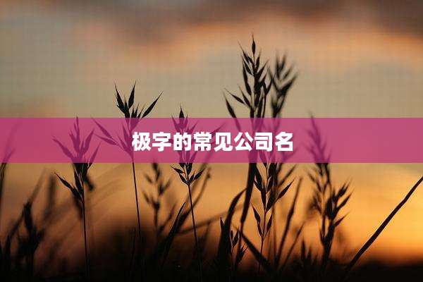 极字的常见公司名