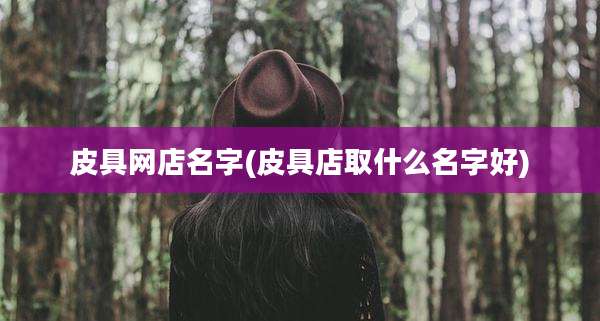 皮具网店名字(皮具店取什么名字好)