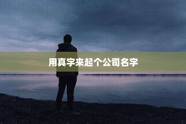 用真字来起个公司名字