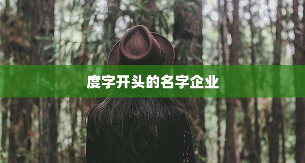 度字开头的名字企业