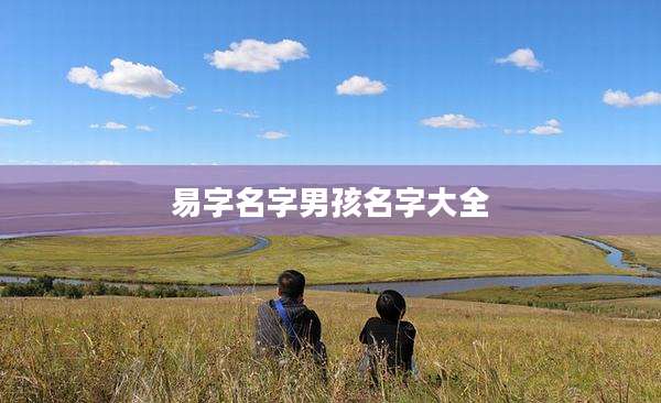 易字名字男孩名字大全