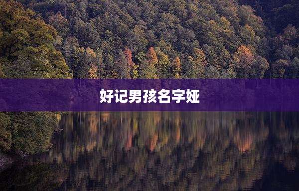 好记男孩名字娅