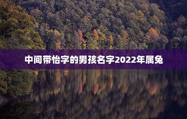 中间带怡字的男孩名字2022年属兔