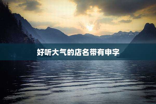 好听大气的店名带有申字