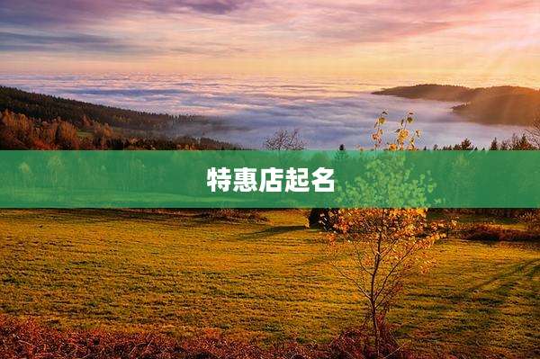 特惠店起名