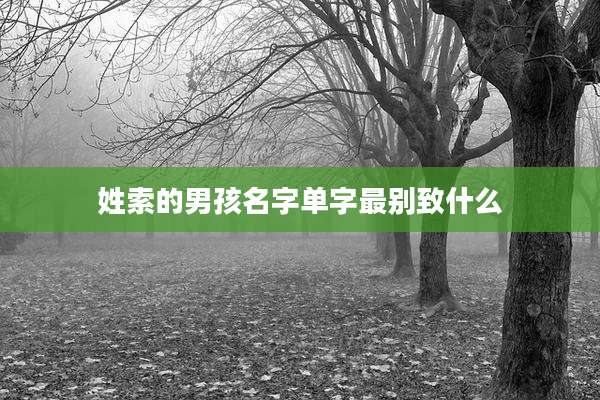 姓索的男孩名字单字最别致什么