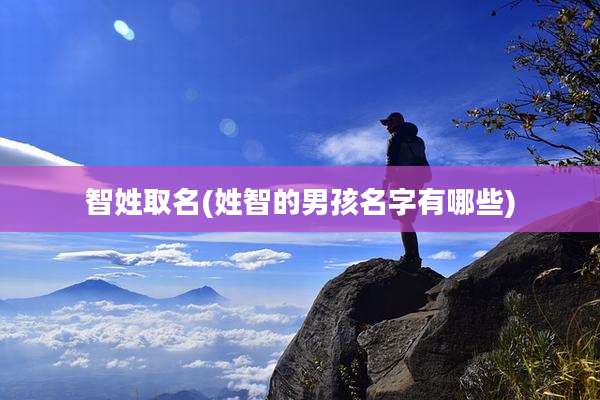 智姓取名(姓智的男孩名字有哪些)