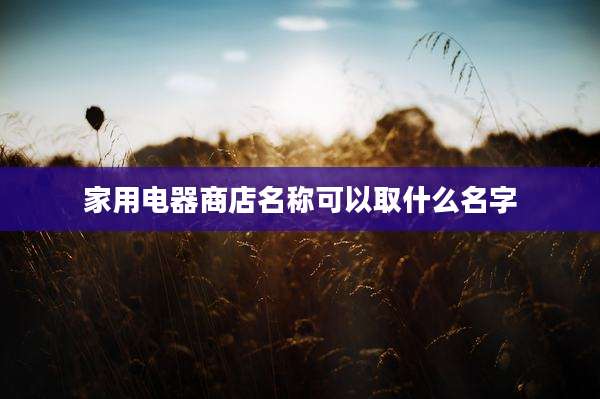 家用电器商店名称可以取什么名字